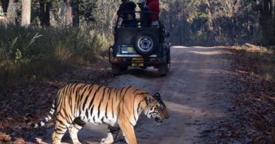 private tour guide delhi 4 Days Golden Triangle with Ranthambore Tiger Tour